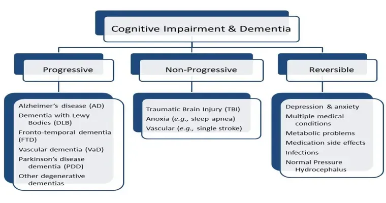 An Overview of the Types of Dementia