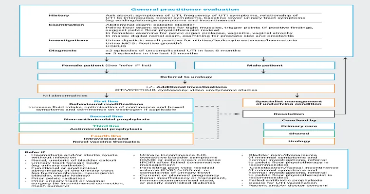 Advice on handling a chronic UTI?