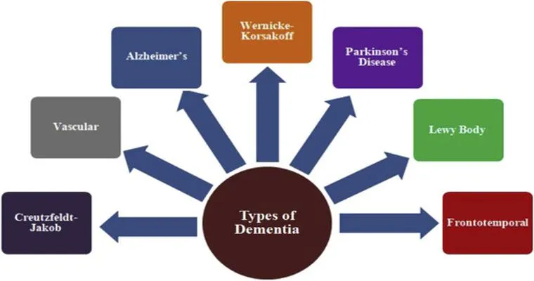 An Inside Take on Dementia Behaviors