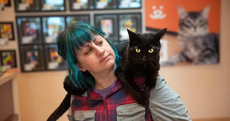 Caregiver's cats behaving badly.