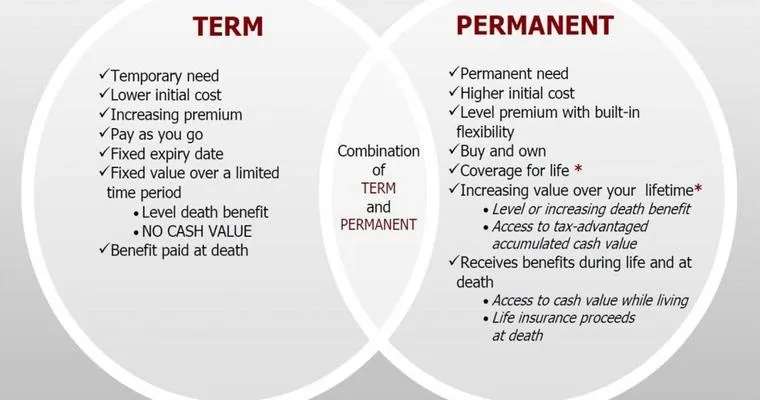 6 Essential Differences between Permanent and Term Life Insurance