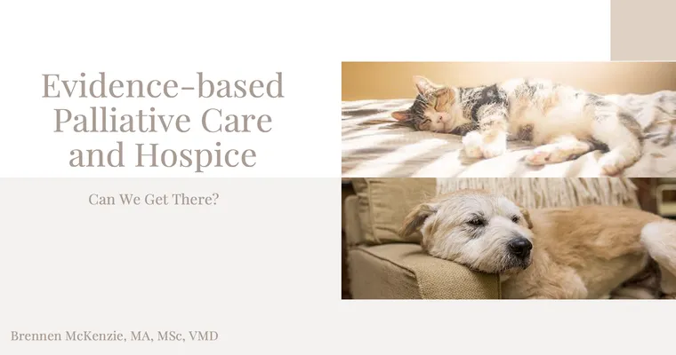 I am a hospice patient and am being treated like a dog. Can anyone help?