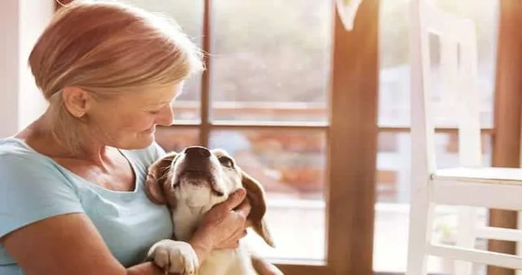 The Healing Power of Pets for Seniors