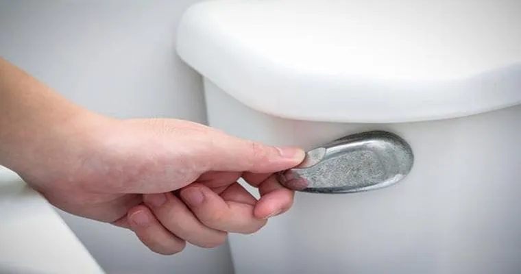 Toilet clog prevention: Can someone recommend a way to catch unwanted things from going down the toilet?
