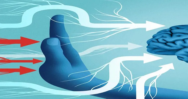 In Pain? Blame Your Brain