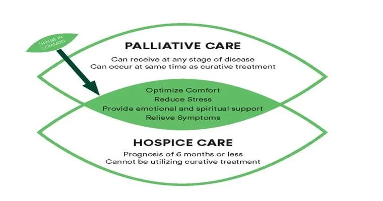 How does palliative care work?
