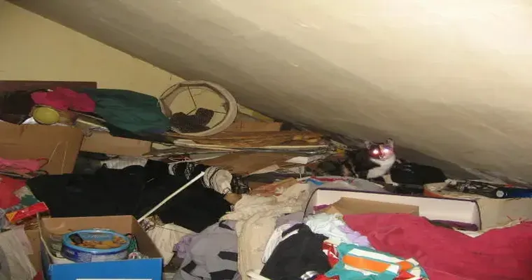 My 78-year-old father in-law is a hoarder, living in a filthy, stinky, dirty house, with no hot water, hasn’t bathed in months. Looking for suggestions.