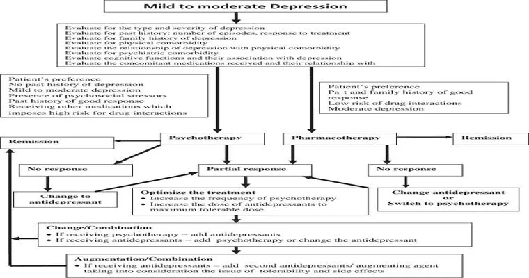 Treatments for Depression in the Elderly