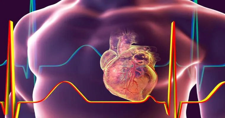 How Old is Your Heart?