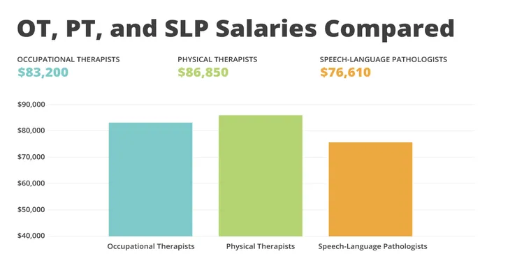 An Overview of Physical, Speech and Occupational Therapy