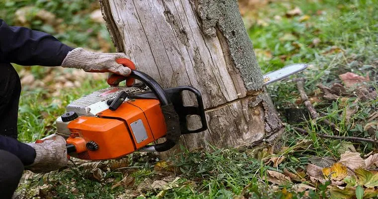 Tree removal.