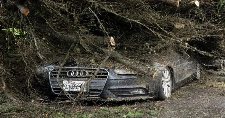 Recent S.F., CA. Tragedy serves as a warning!