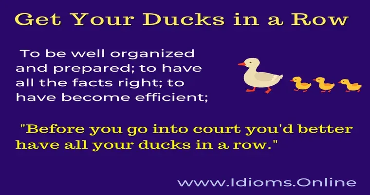 To get my ducks in a row?