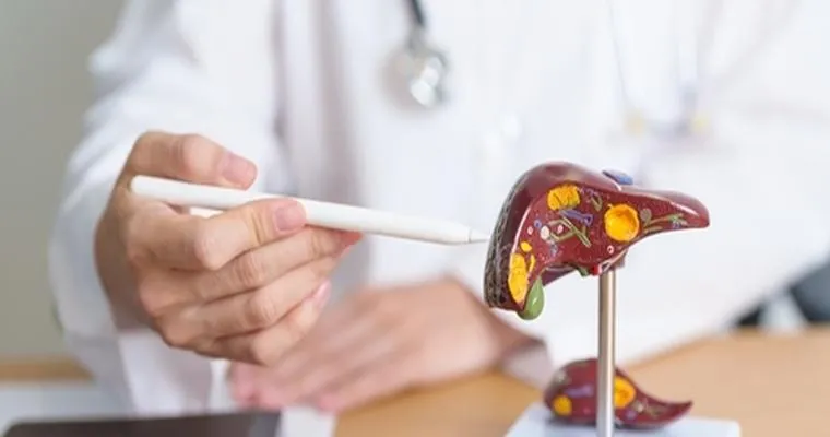 Update on liver Dr. appointment.