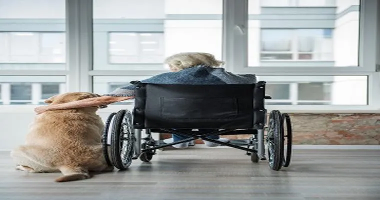 How to Pick a Pet for a Senior Citizen