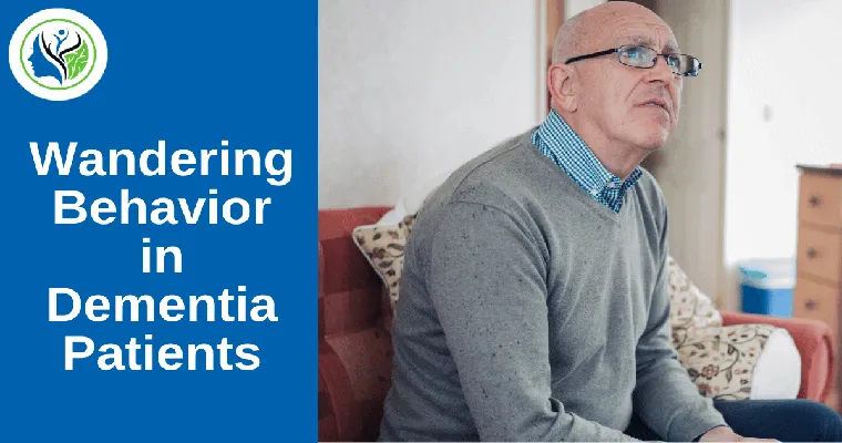 Products and Strategies for Managing Dementia Wandering