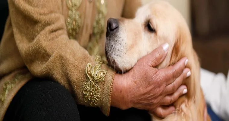 What Happens When a Senior Can No Longer Care for Their Pet?