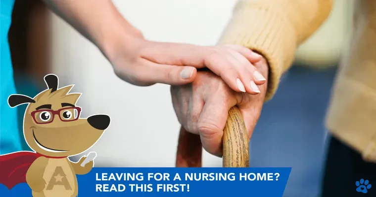 My Mom fell at a rehabilitation center and now has moved backwards. What are my options?