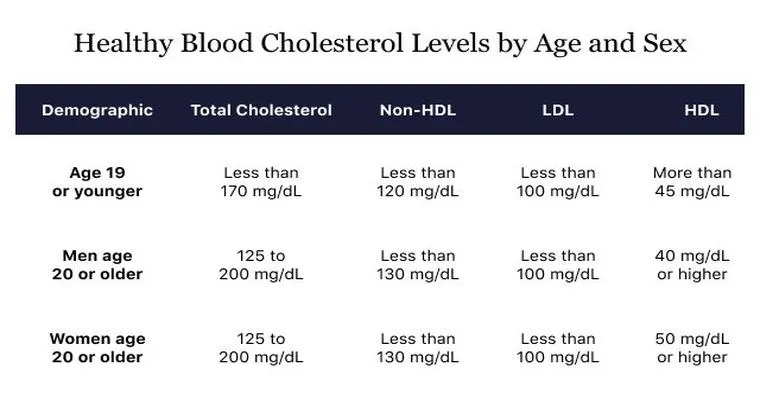 High Cholesterol in the Elderly