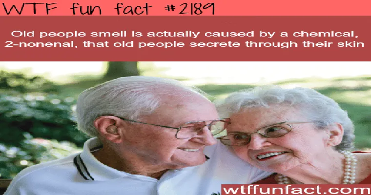 The Truth About “Old People Smell”