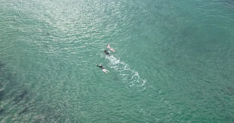 In deep. Swimming to shore.