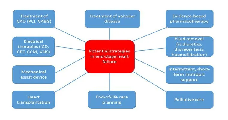 Hospice Care for the End Stages of Heart Disease