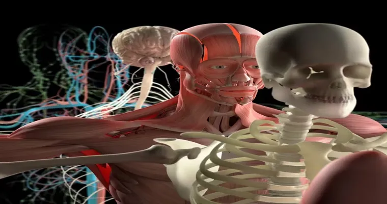 What is the most reputable body donation for science organization?