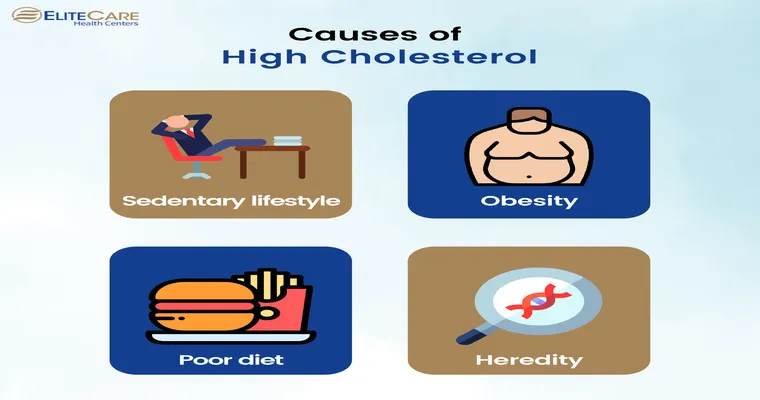 How Seniors Can Lower Their Cholesterol
