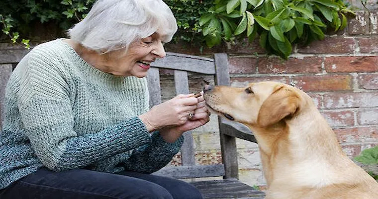 Why a Visiting Pet Program Would Be Perfect for Seniors