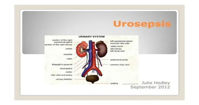Urosepsis and confusion.