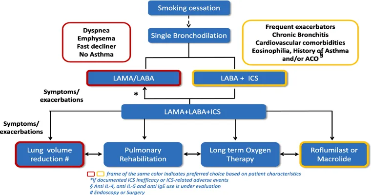 Treatments for Chronic Obstructive Pulmonary Disease (COPD)
