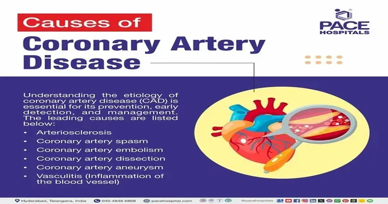 Understanding Coronary Artery Disease